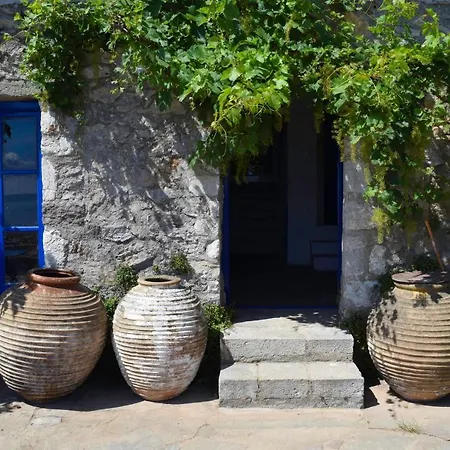 Hébergement de vacances The Traditional Hause With The View