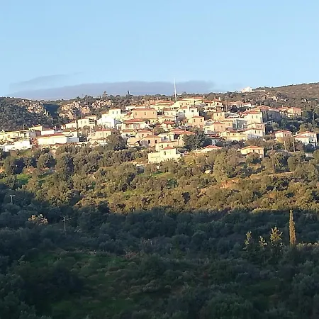 The Traditional Hause With The View *