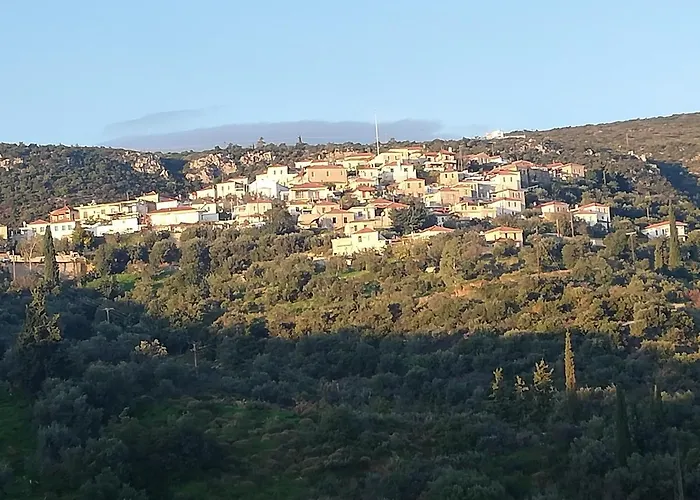 The Traditional Hause With The View *